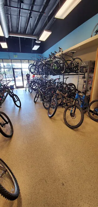 Sonoran Cycles Bike Shop Picture 8