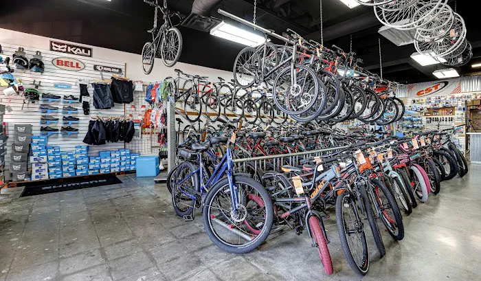 Bicycle Depot of Arizona Picture 9