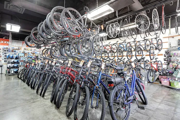 Bicycle Depot of Arizona Picture 10