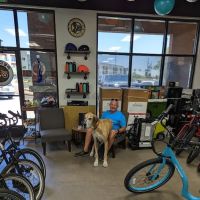 Pedego Electric Bikes Glendale / Peoria ico
