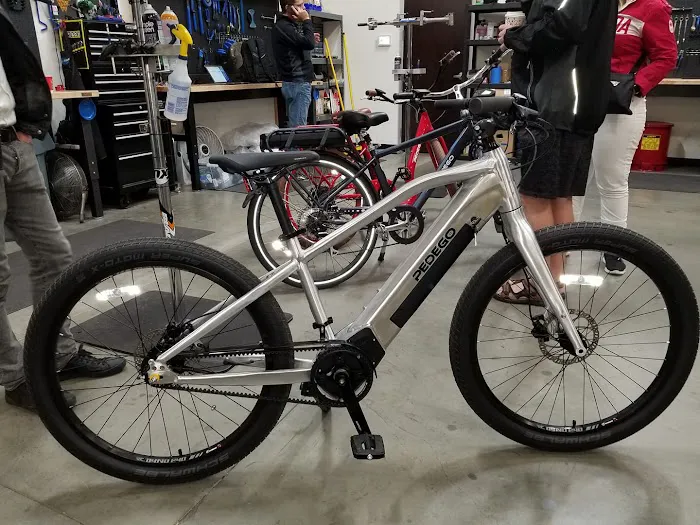 Pedego Electric Bikes Glendale / Peoria Picture 6