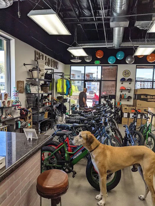 Pedego Electric Bikes Glendale / Peoria Picture 5
