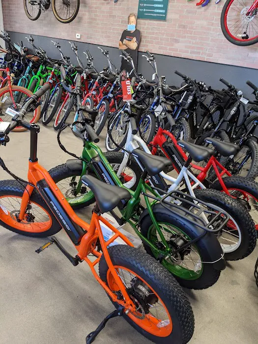 Pedego Electric Bikes Glendale / Peoria Picture 4