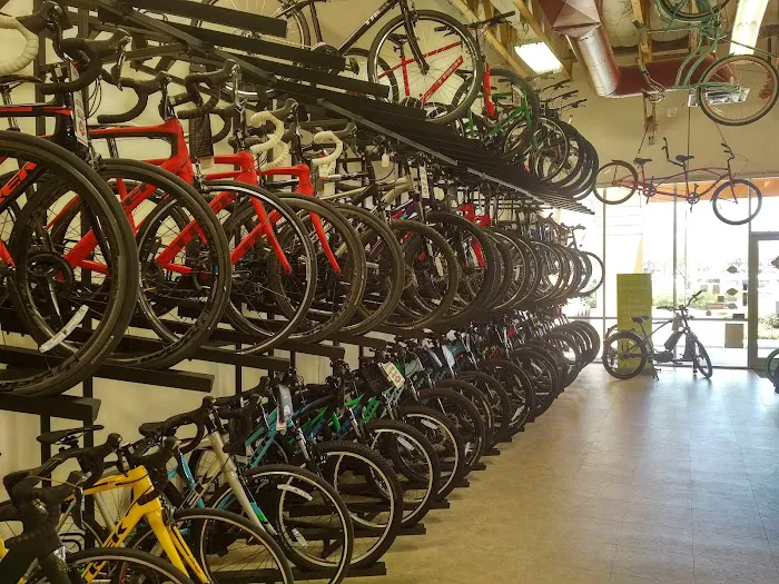 SouthWest Bicycles Picture 1
