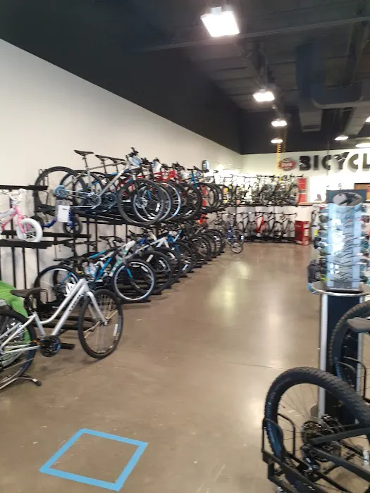 SouthWest Bicycles Picture 4