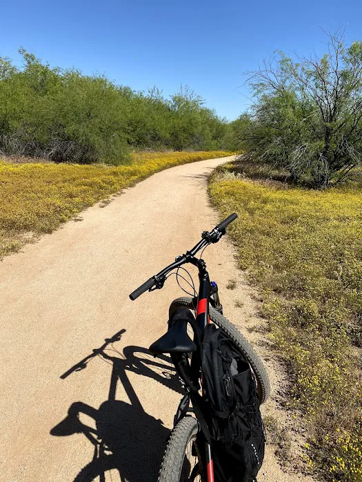 SouthWest Bicycles Picture 7