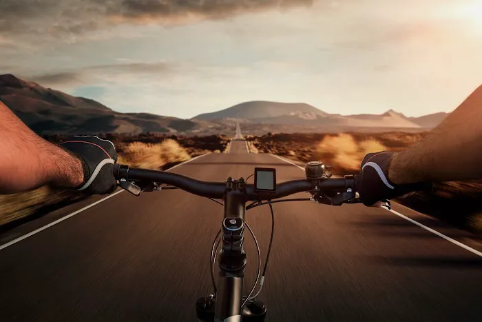 Savage Bicycles Picture 3