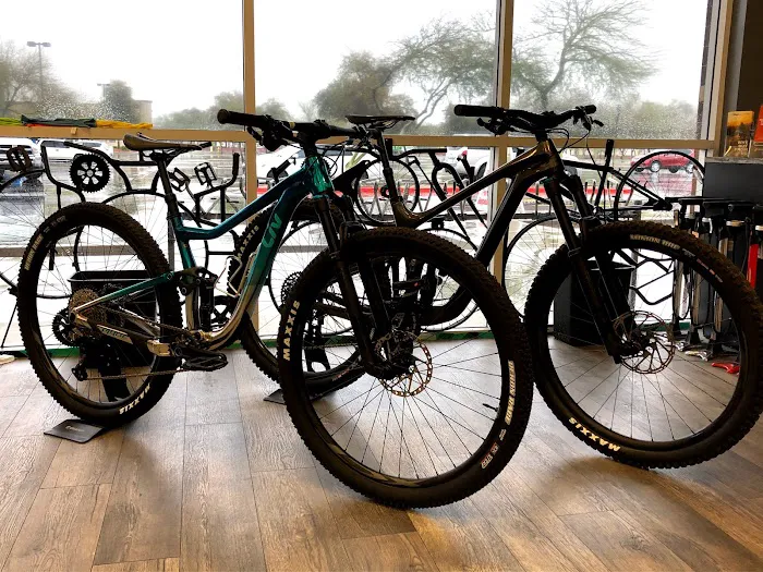 Savage Bicycles Picture 8