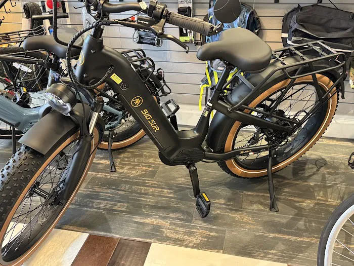 Fit n Fun E-Bikes Picture 1
