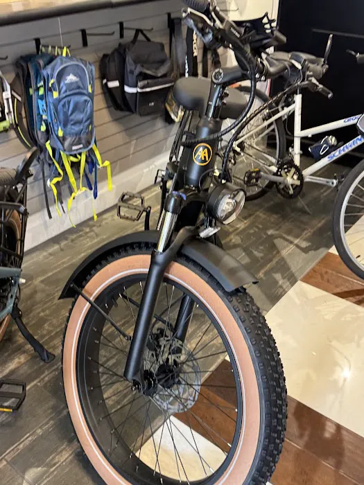 Fit n Fun E-Bikes Picture 4