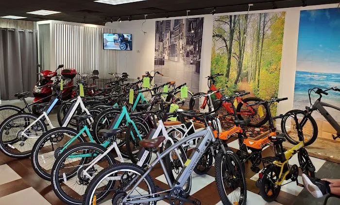 Fit n Fun E-Bikes Picture 7