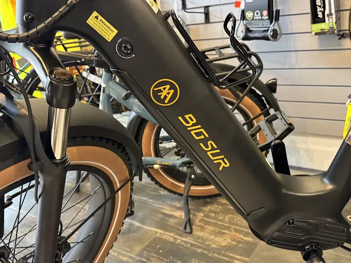 Fit n Fun E-Bikes Picture 8