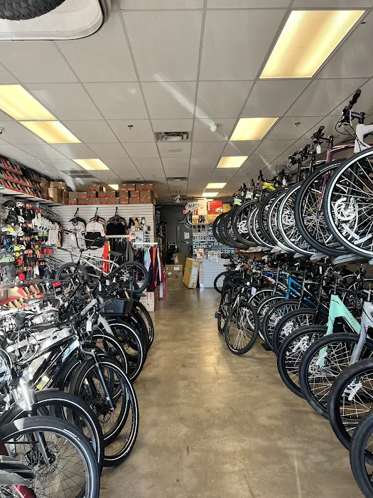 Road Runner Bike Center Vistancia Picture 3