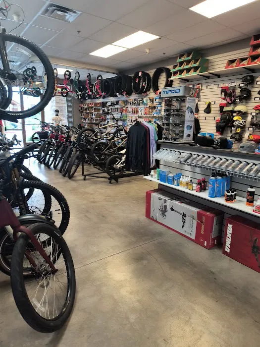 Road Runner Bike Center Vistancia Picture 6