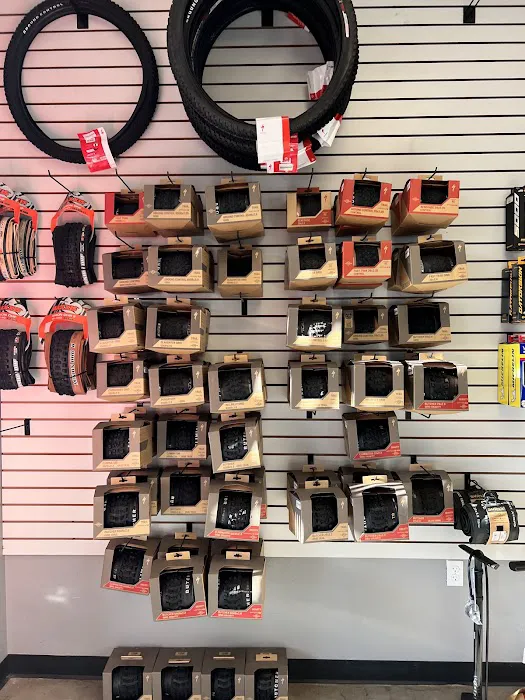 Road Runner Bike Center Vistancia Picture 4
