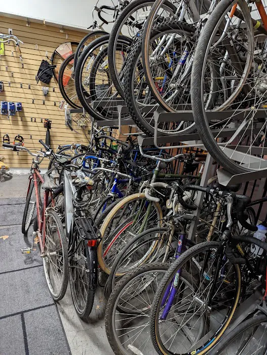 Lakeview Bicycle Picture 1