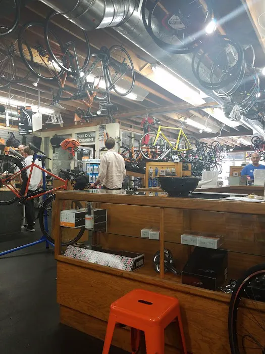 Trek Bicycle Oakland Picture 3