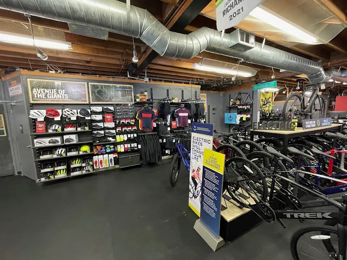 Trek Bicycle Oakland Picture 5