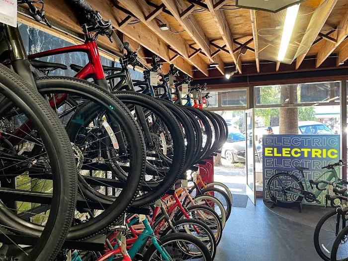 Trek Bicycle Oakland Picture 7