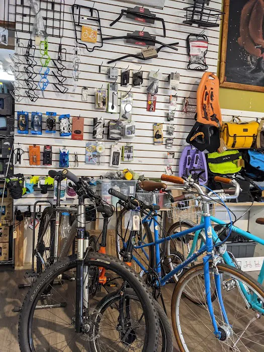 Tip Top Bike Shop Picture 6