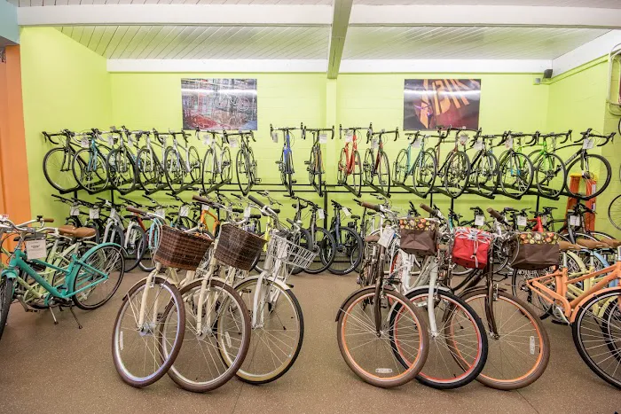 Alameda Bicycle Picture 2