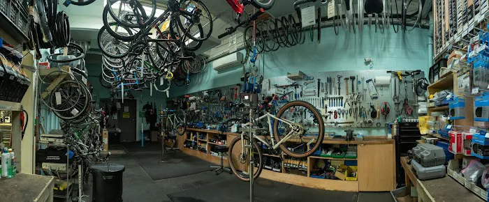Alameda Bicycle Picture 4