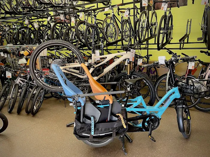 Alameda Bicycle Picture 3