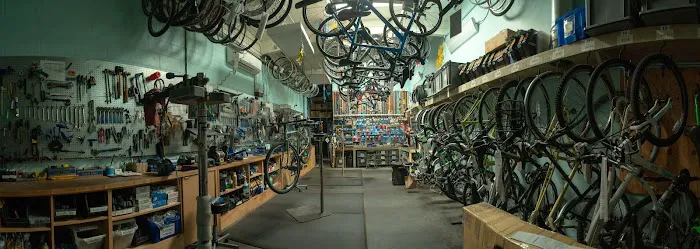 Alameda Bicycle Picture 7