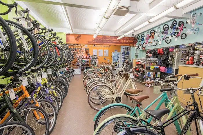 Alameda Bicycle Picture 8