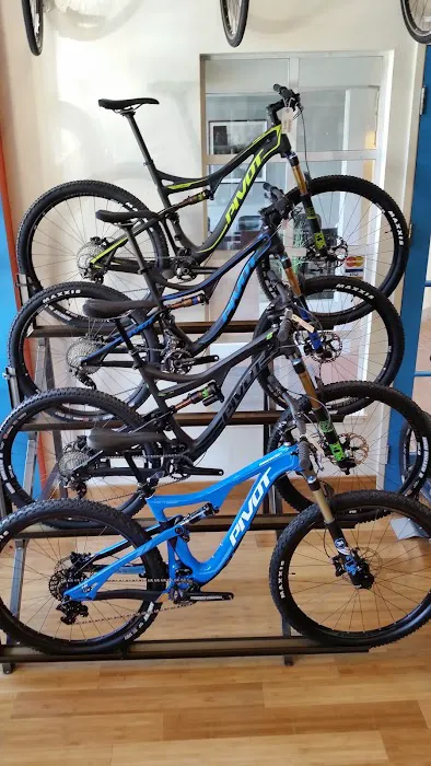 Rhythm Bikes Picture 9