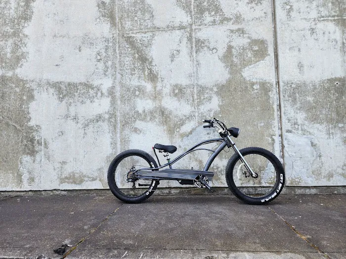 Pacific Electric Bike Picture 1