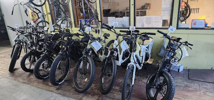 Pacific E-Bike Picture 4
