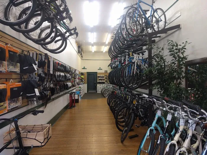 Cycle City Alameda Picture 2