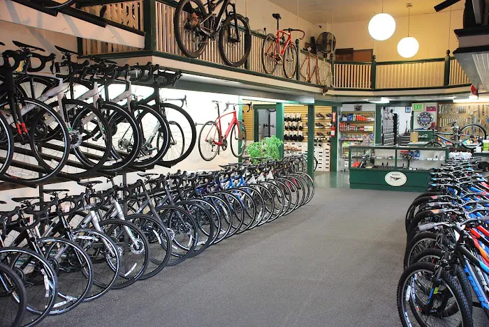 Cycle City Alameda Picture 5