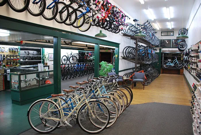 Cycle City Alameda Picture 7