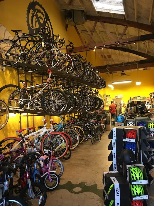 Laurel Cyclery Picture 5