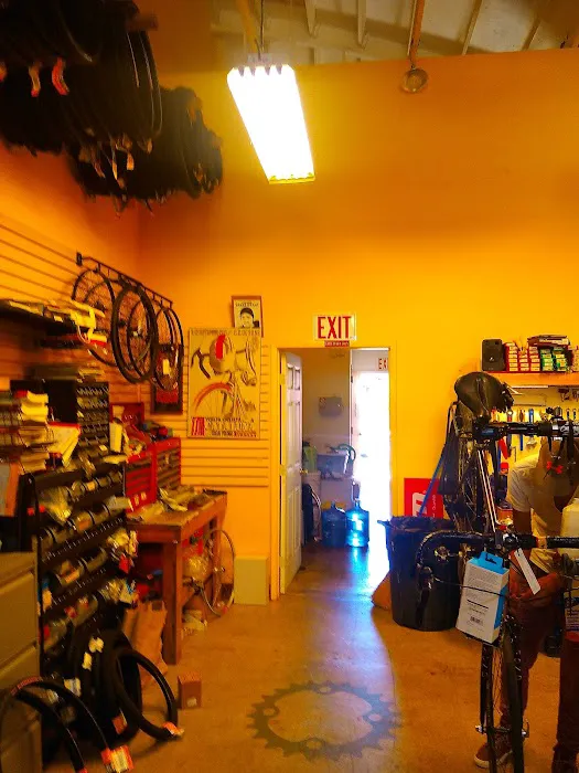 Laurel Cyclery Picture 3