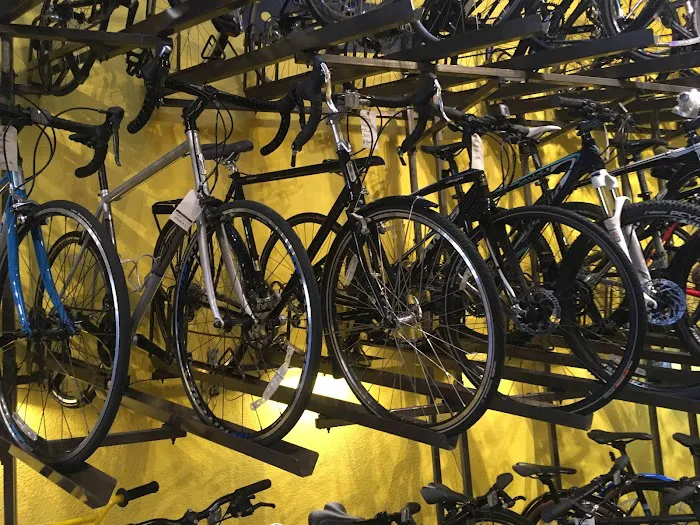 Laurel Cyclery Picture 8