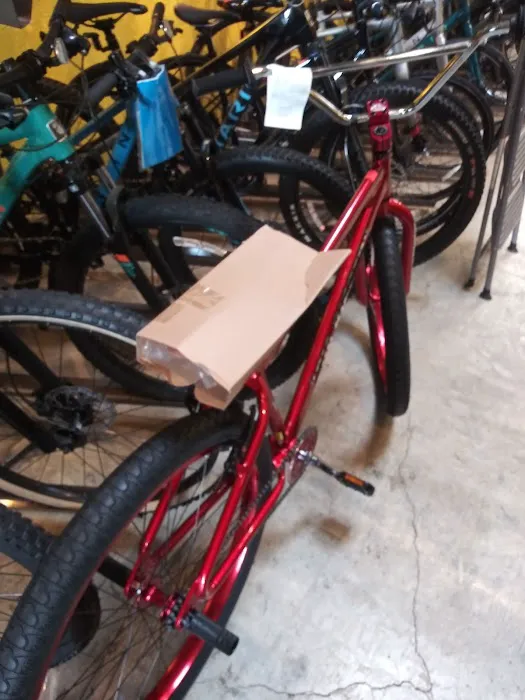 Laurel Cyclery Picture 6