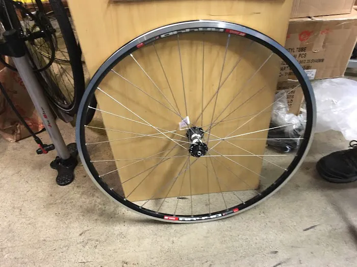 Laurel Cyclery Picture 7