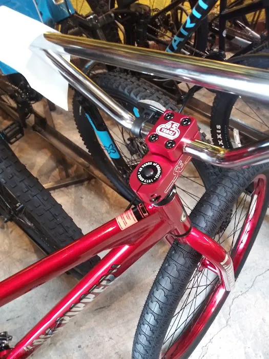 Laurel Cyclery Picture 9