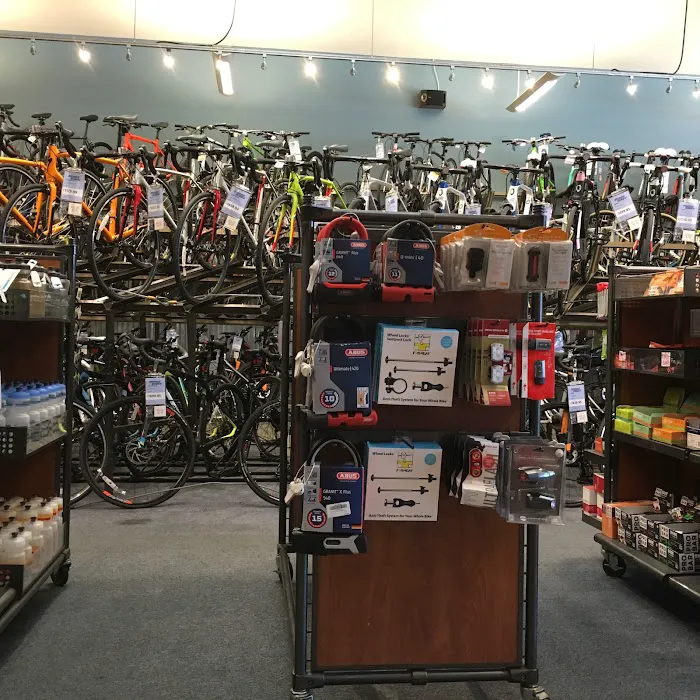 Mike's Bikes of Berkeley Picture 3