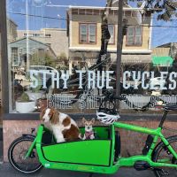 Stay True Cycles ico