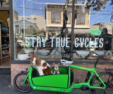 Stay True Cycles