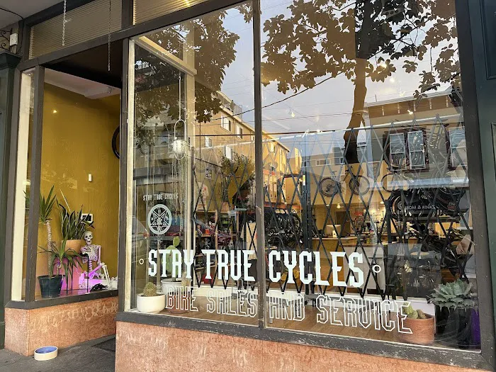 Stay True Cycles Picture 2