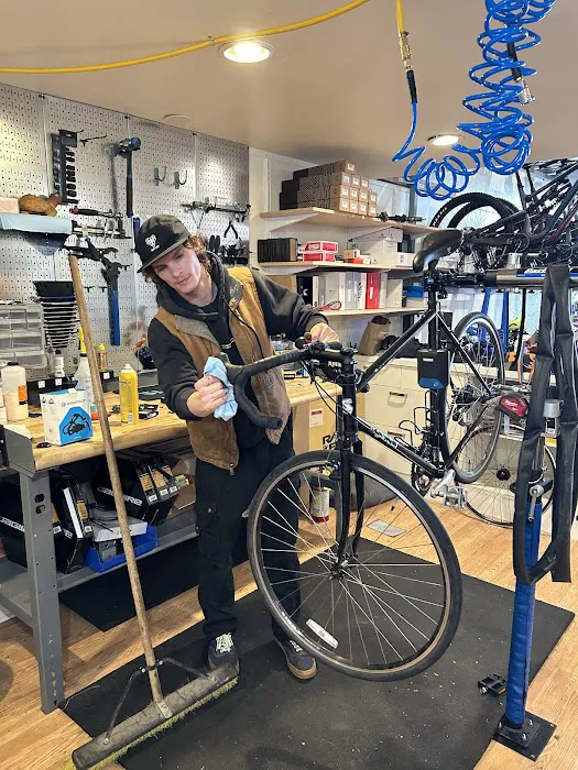 Stay True Cycles Picture 8