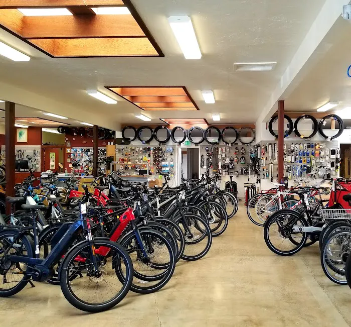 Blue Heron Bikes Picture 3