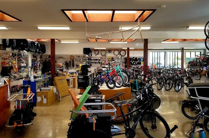 Blue Heron Bikes Picture 6