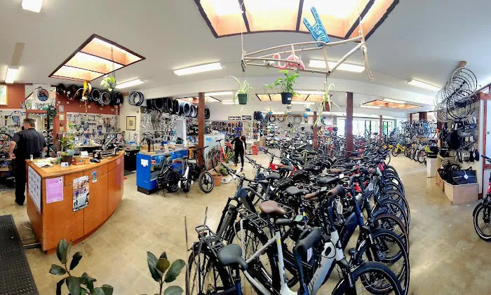Blue Heron Bikes Picture 8