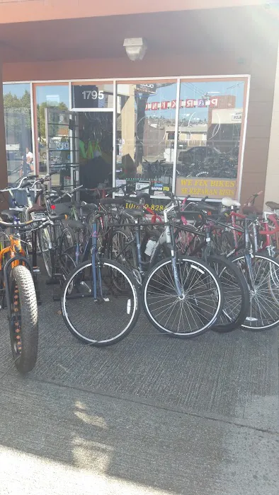 Vic's Bikes Picture 6